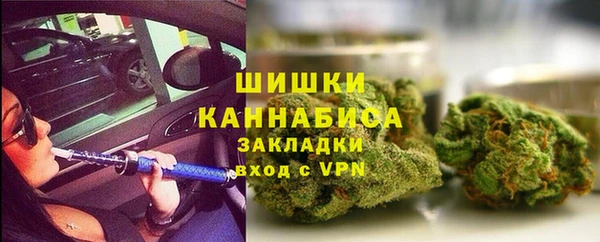 прущий лед Богданович